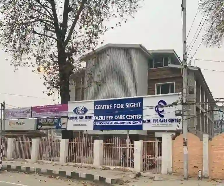 Srinagar 