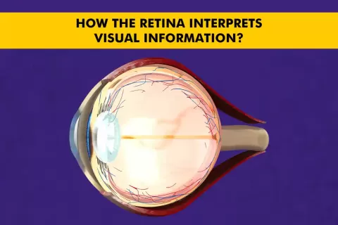 Cataract Surgery – How To Choose The Best Eye Care Center?