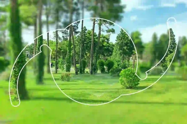 Comparison image of different types of lenses to help with vision correction